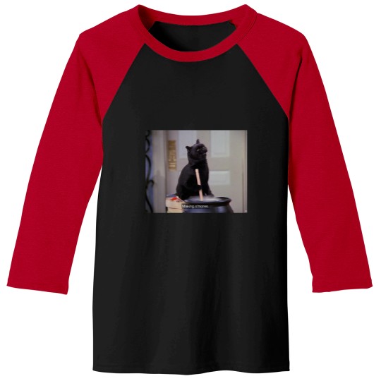 Discover Salem the Cat - “Making S’mores” Baseball Tees