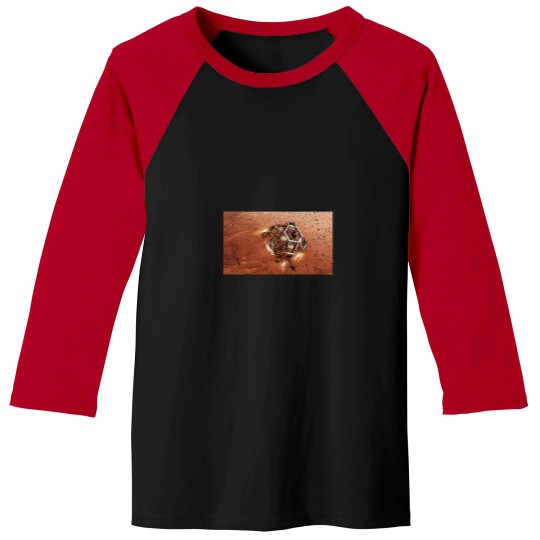 Discover Mars Perseverance Rover Descent Baseball Tees