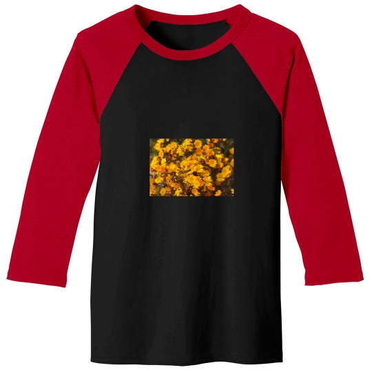 Discover Western Australian Wildflower - Orange Stars Baseball Tees