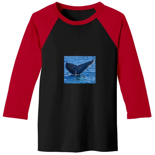 Discover Whales tail Hervey Bay Baseball Tees