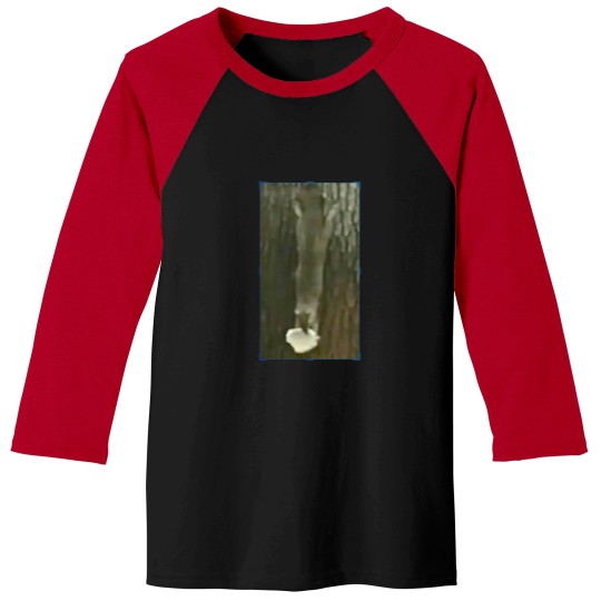 Discover Funny squirrel with nut Baseball Tees