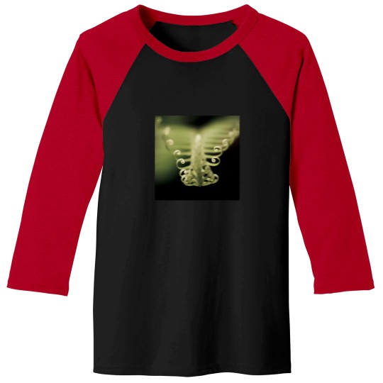 Discover Fern 2402 Baseball Tees