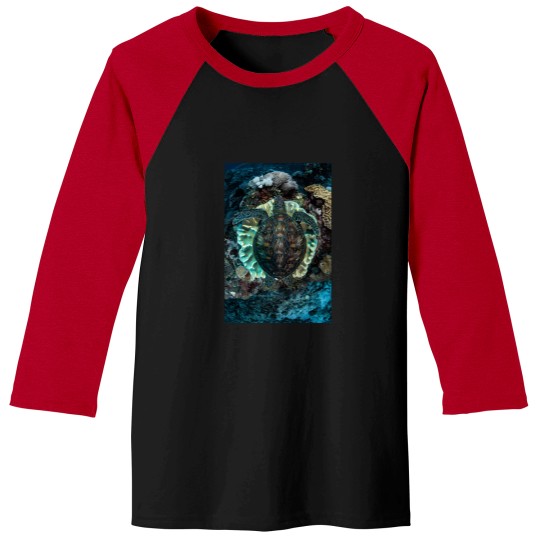 Discover Green Turtle Resting Baseball Tees