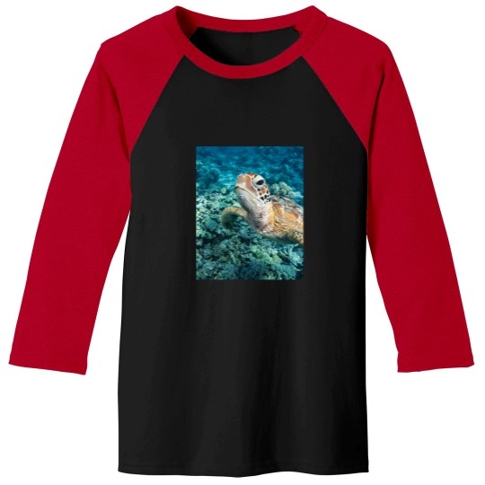 Discover Green Turtle On Great Barrier Reef Baseball Tees