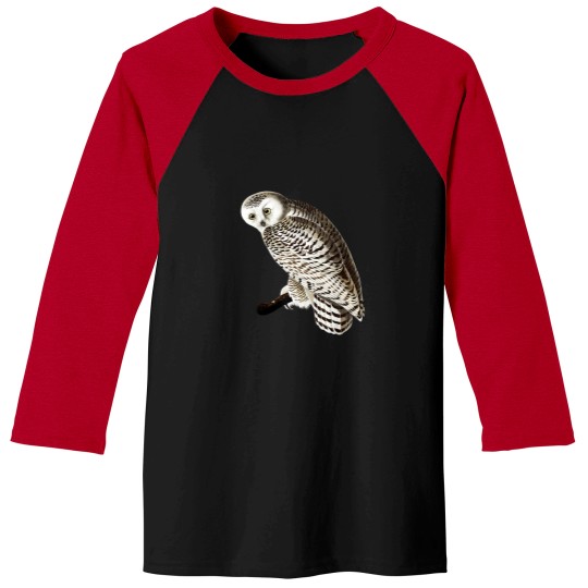 Discover Snowy Owl Vintage Illustration Baseball Tees
