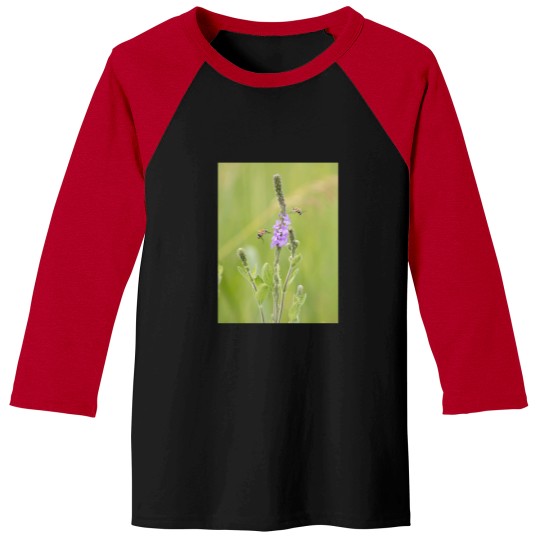 Discover bees fly and purple wildflowers Premium Baseball Tees