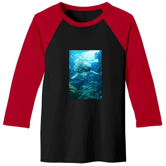 Discover Descending Sea Turtle Sticker 2442 Baseball Tees