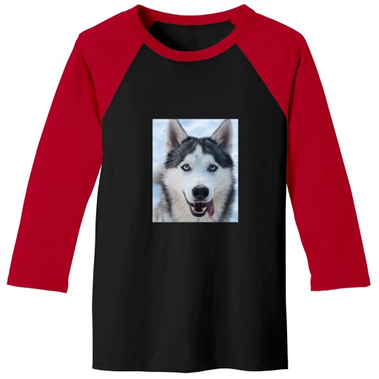 Discover funnys Looking Siberian Husky dogs Classic Baseball Tees