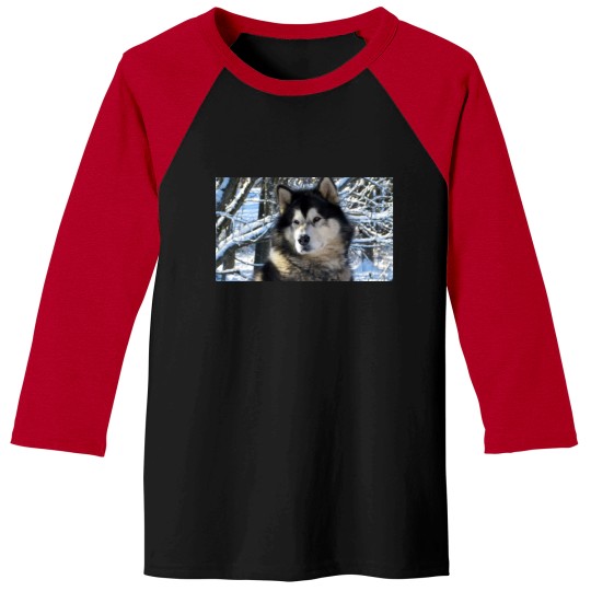 Discover Loup's first snowfall 2012 Baseball Tees