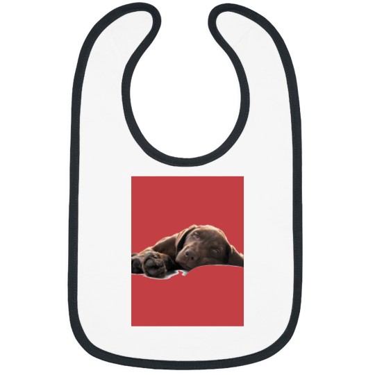 Discover Chocolate Labrador Puppy Lying Down Graphic Bibs