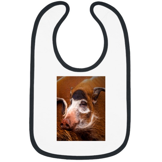 Discover Zoology - Red River Hog Bibs