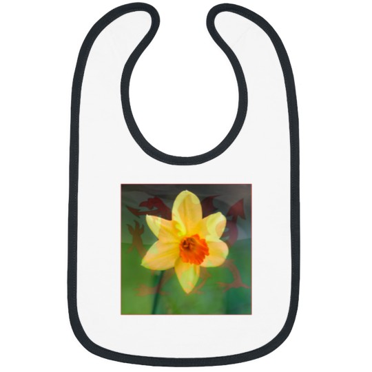 Discover Proud To Be Welsh Bibs