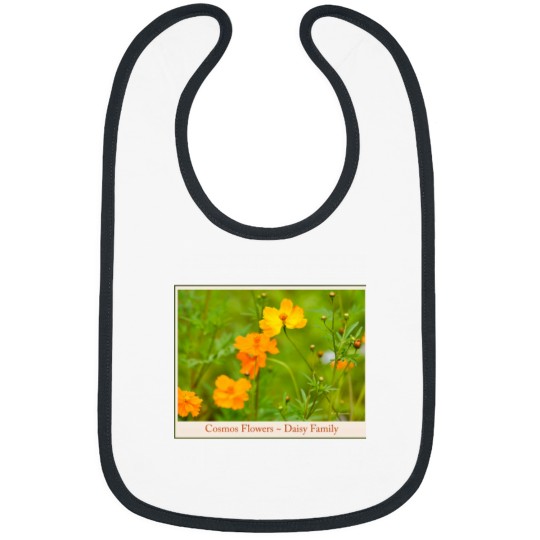 Discover Cosmos Flowers  Classic Bibs