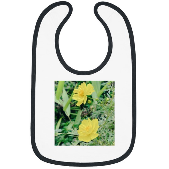 Discover Cosmos Classic Bibs