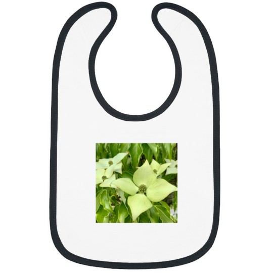 Discover White Truffle(1) Bibs