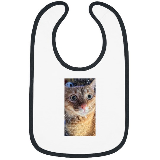 Discover What Bibs
