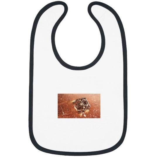 Discover Mars Perseverance Rover Descent Bibs