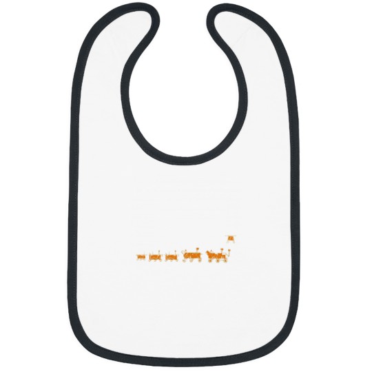 Discover Mars Perseverance Rover Family Portrait NASA Bibs