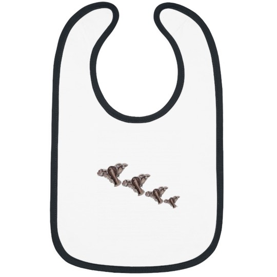 Discover in a row.  Active Bibs