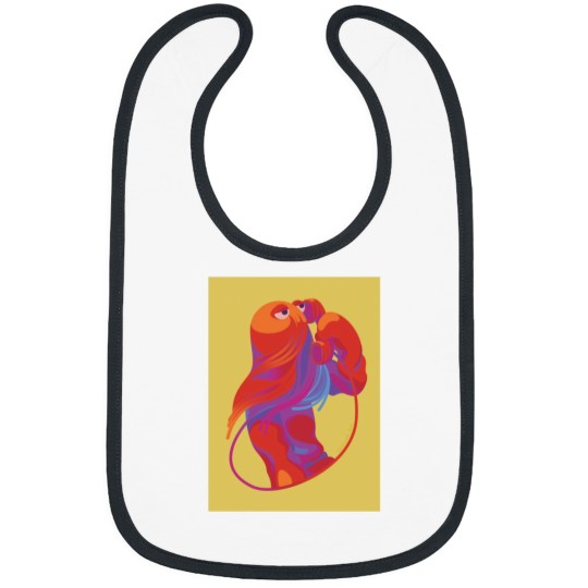 Discover Dhmis Series Bib