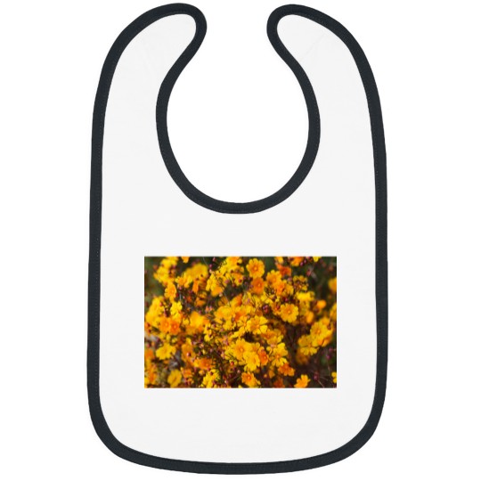 Discover Western Australian Wildflower - Orange Stars Bibs