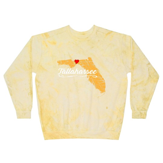 Discover City of Tallahassee Florida | Vacation Souvenir - Graphic Blast Sweatshirts