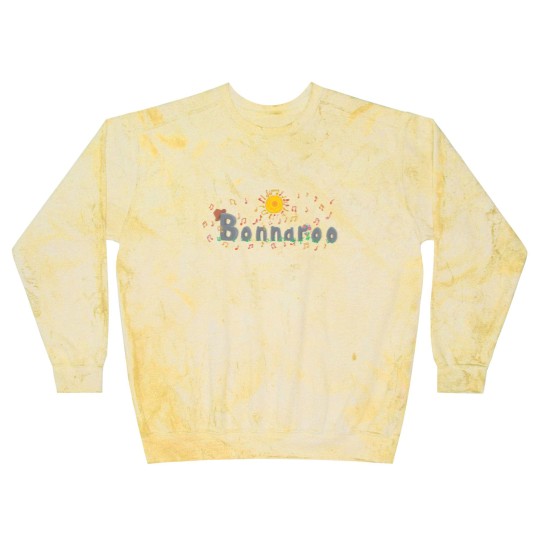 Discover Bonnaroo Festival - Decorative - Blast Sweatshirts