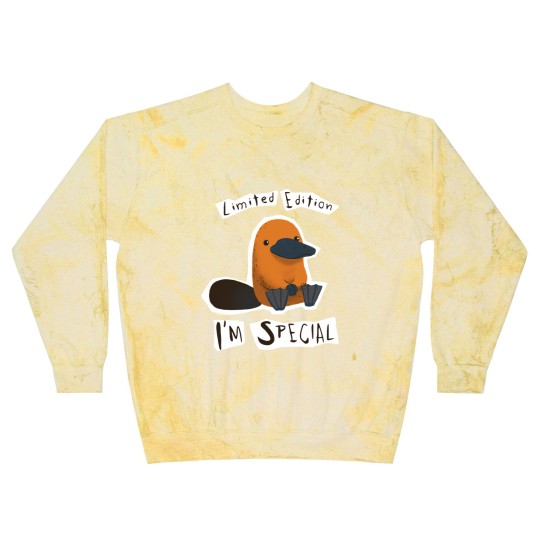 Discover  - I'm Special Platypus - Cute Weird Animal - Platypus - Blast Sweatshirts