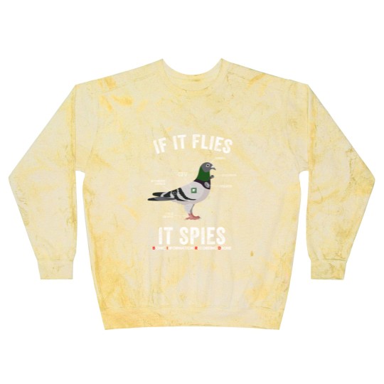Discover If It Flies It Spies Birds Are Not Real Funny Drone Conspiracy Theory - Birds Arent Real - Blast Sweatshirts