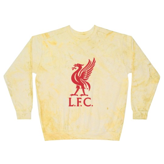 Discover Icon Sports Boy's Soccer Blast Sweatshirts –  Cotton Short Sleeve World Football Club Casual Active Graphic Youth Kids Top Blast Sweatshirts