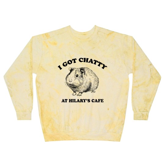Discover Fleabag| I Got Chatty At Hilary's Cafe| Guinea Pig Cafe - Fleabag - Blast Sweatshirts