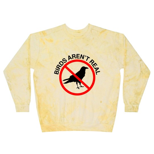 Discover Birds Aren't Real Prohibited Sign Premium Blast Sweatshirts