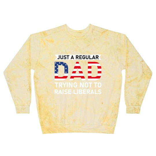 Discover Just A Regular Dad Trying Not To Raise Liberals - Raise Liberals - Blast Sweatshirts