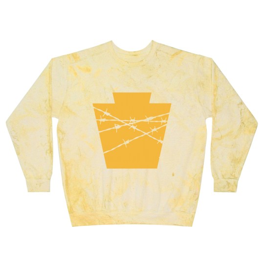 Discover Real Historical Philadelphia - Ec Arena - Philadelphia - Blast Sweatshirts