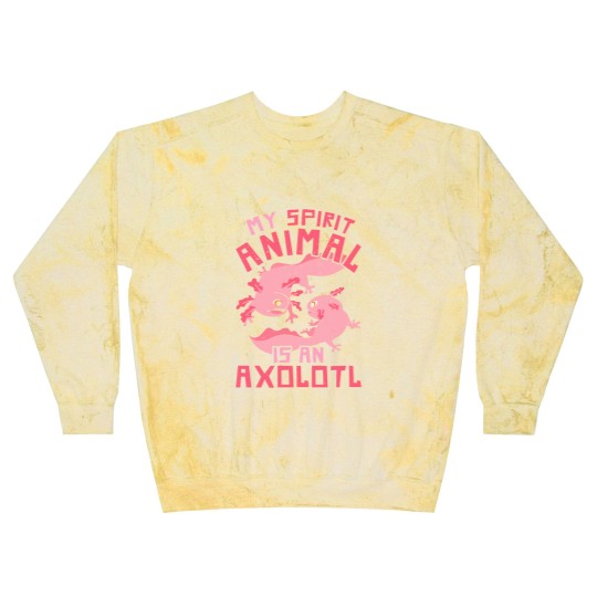 Discover Axolotl Mexican Salamander Pet My Spirit Animal Is An Axolotl Blast Sweatshirts