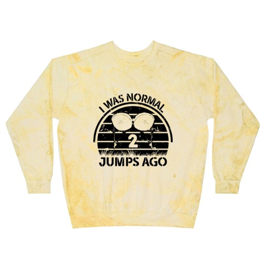 Discover I Was Normal 2 Jumps Ago Paratrooper Airborne Blast Sweatshirts