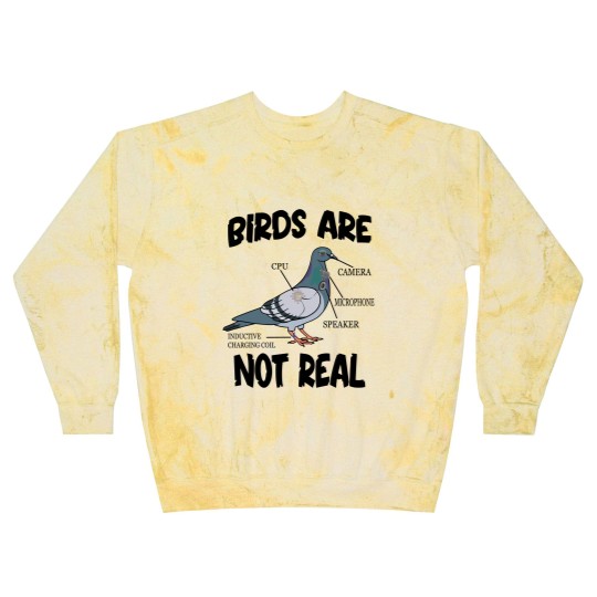 Discover Birds Are Not Real Bird Spies Conspiracy Theory Birds Blast Sweatshirts