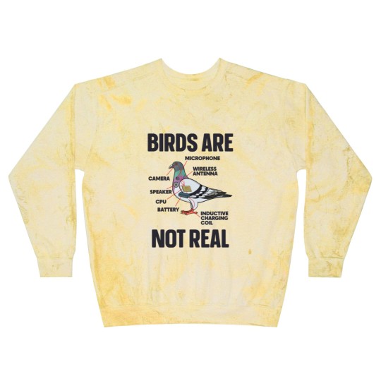 Discover Birds Are Not Real Blast Sweatshirts