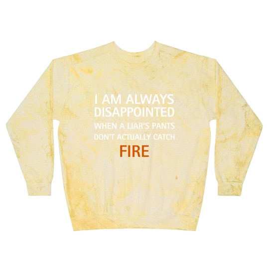 Discover I am always disappointed when a liar's pants don't actually catch fire, funny saying - Liar - Blast Sweatshirts
