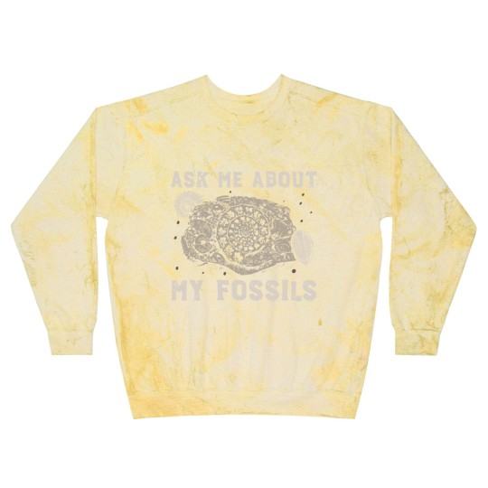 Discover Fossil Collector | Paleontologist Fossil Dino Gift Blast Sweatshirts