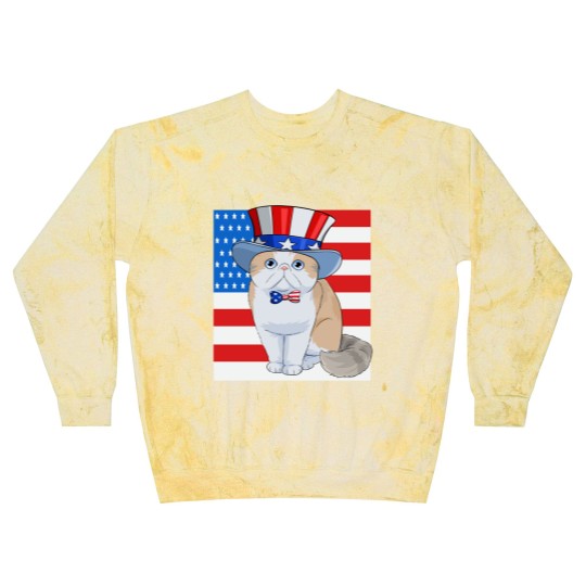 Discover Exotic Shorthair Cat 4th of July - Exotic Cat - Blast Sweatshirts