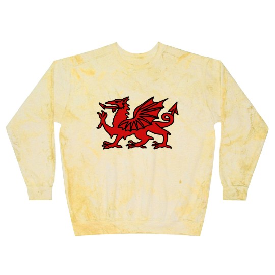 Discover Welsh Dragon Wales - Welsh Dragon - Blast Sweatshirts
