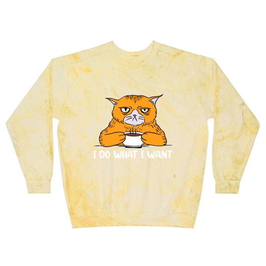 Discover I do What I Want Funny Sarcastic Cat Blast Sweatshirts