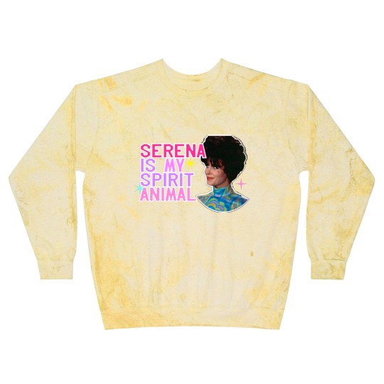 Discover Which Witch is Which - Bewitched - Blast Sweatshirts