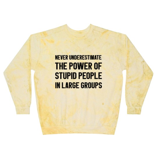 Discover Never Underestimate The Power Of Stupid People Blast Sweatshirts