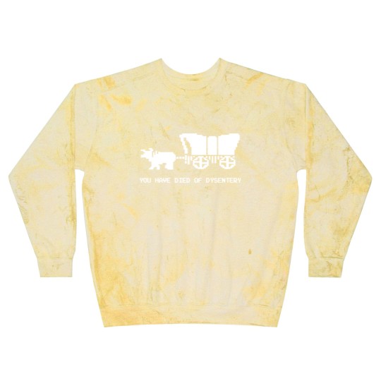 Discover You Died Of Dysentery - Oregon Trail - Blast Sweatshirts