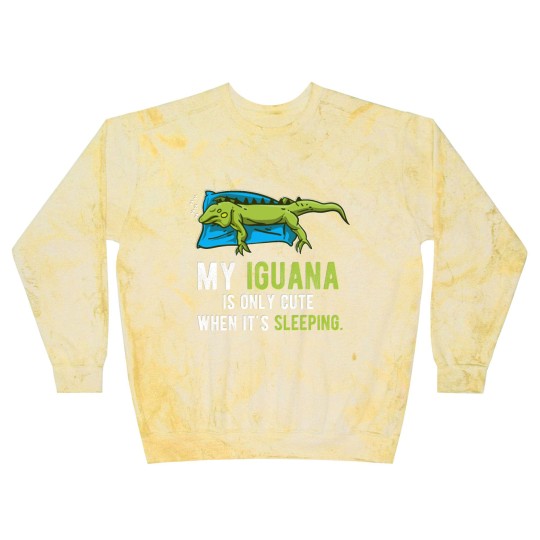 Discover Lazy Pet Reptile Lizard Animal Sleeping Iguana Blast Sweatshirts
