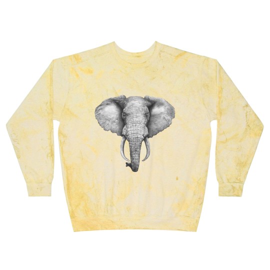 Discover Elephant - Elephant - Blast Sweatshirts