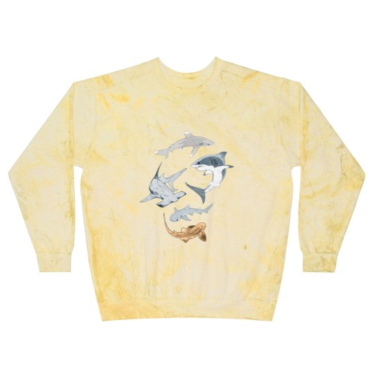 Discover Types of Sharks Collection Blast Sweatshirts