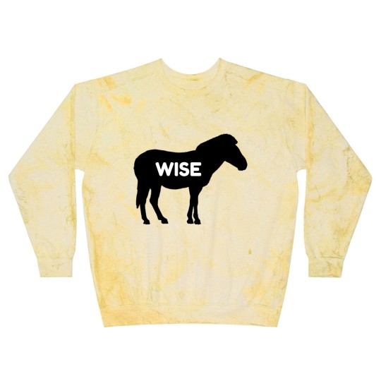 Discover Wise Ass Funny Donkey Funny Blast Sweatshirts